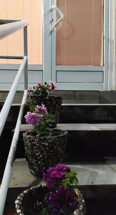 Apartman Todorovic Jagodina Exteriör bild